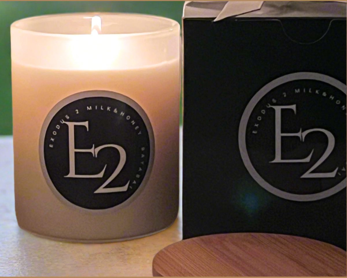 E2 MILK & HONEY- BAYABAI PURE SOY SCENTED 11Oz. 2 Wick Candle