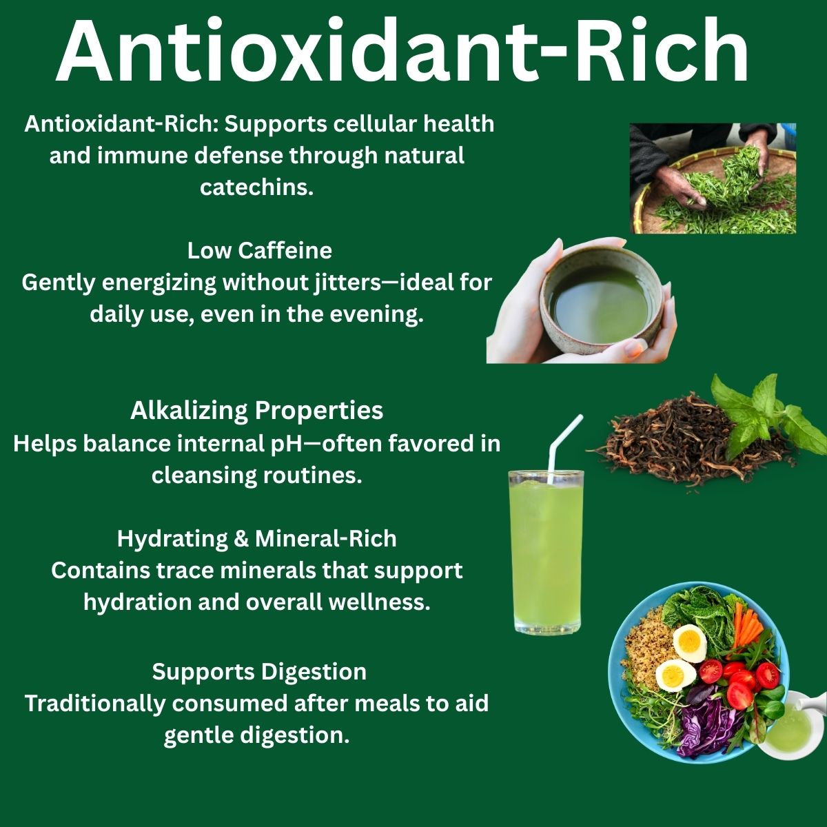 BAYABAI BLISS BANCHA GREEN TEA