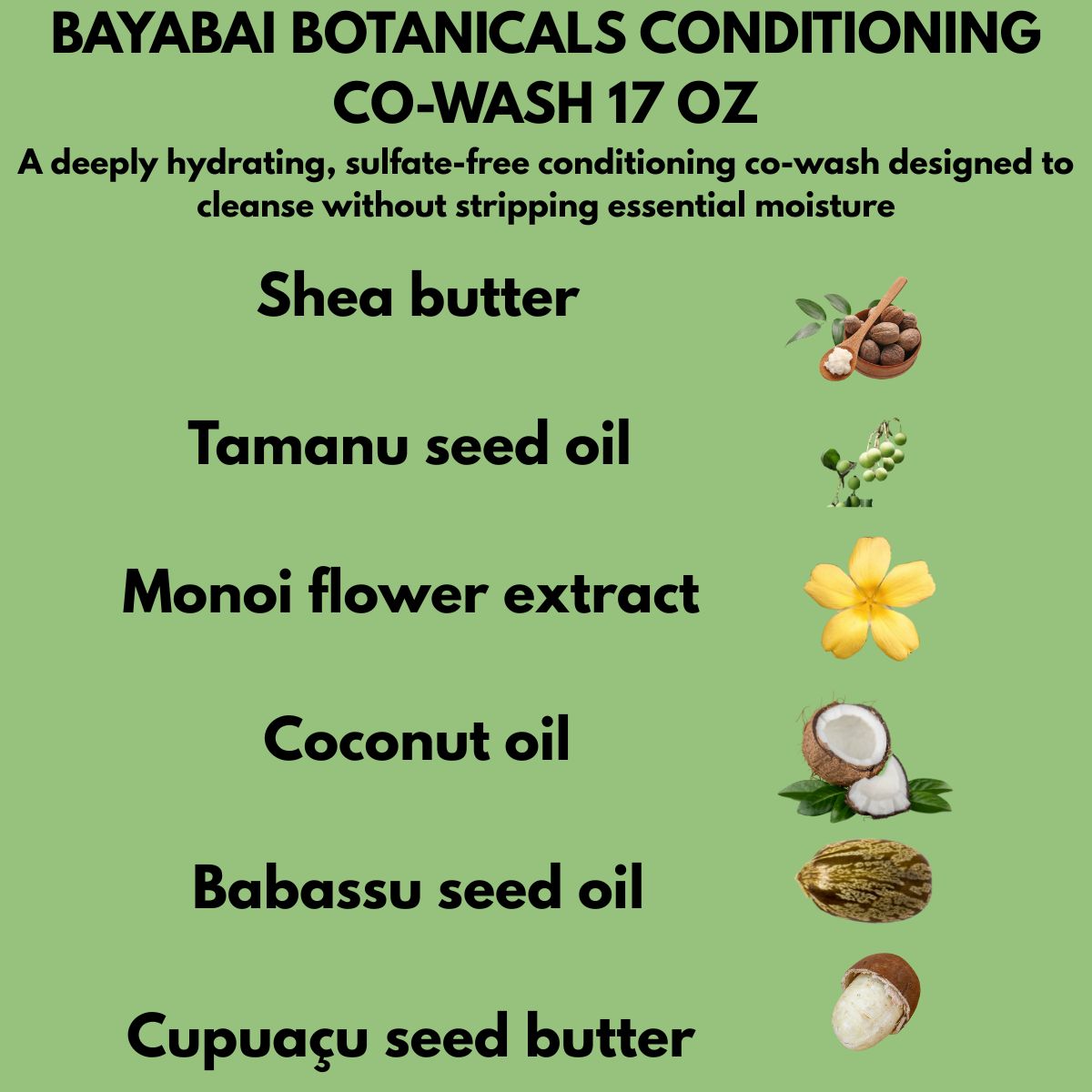 BAYABAI BOTANICALS CONDITIONING CO-WASH 17 OZ