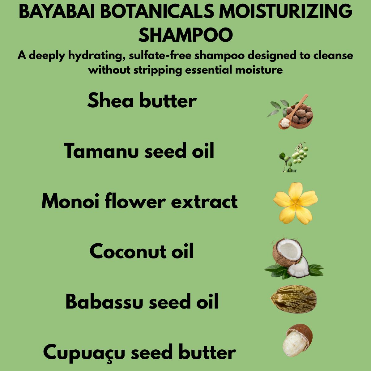 BAYABAI BOTANICALS MOISTURIZING SHAMPOO 17OZ